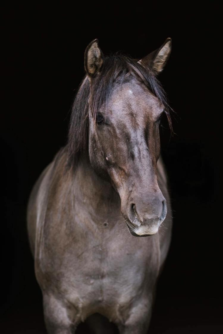 Na Lesnej Kety (Lesser Poland)